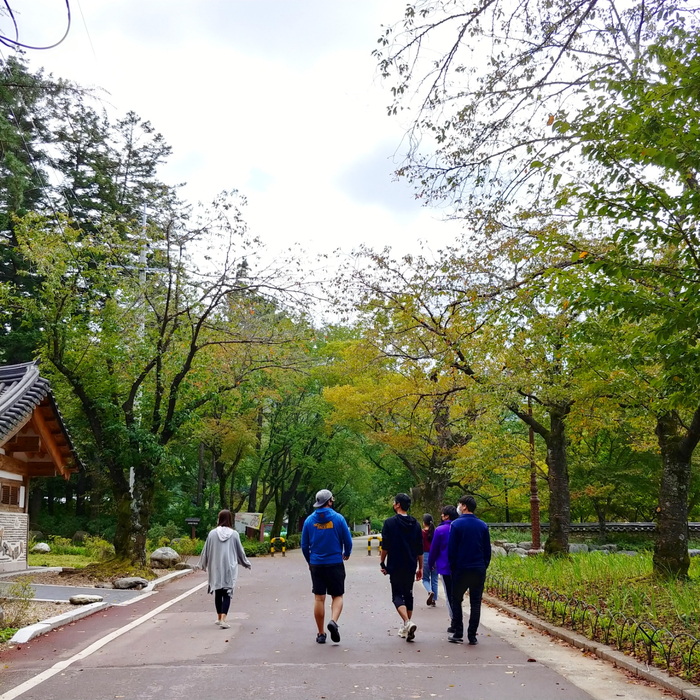 클릭을 하시면 실제 이미지 크기로 보실 수 있습니다.